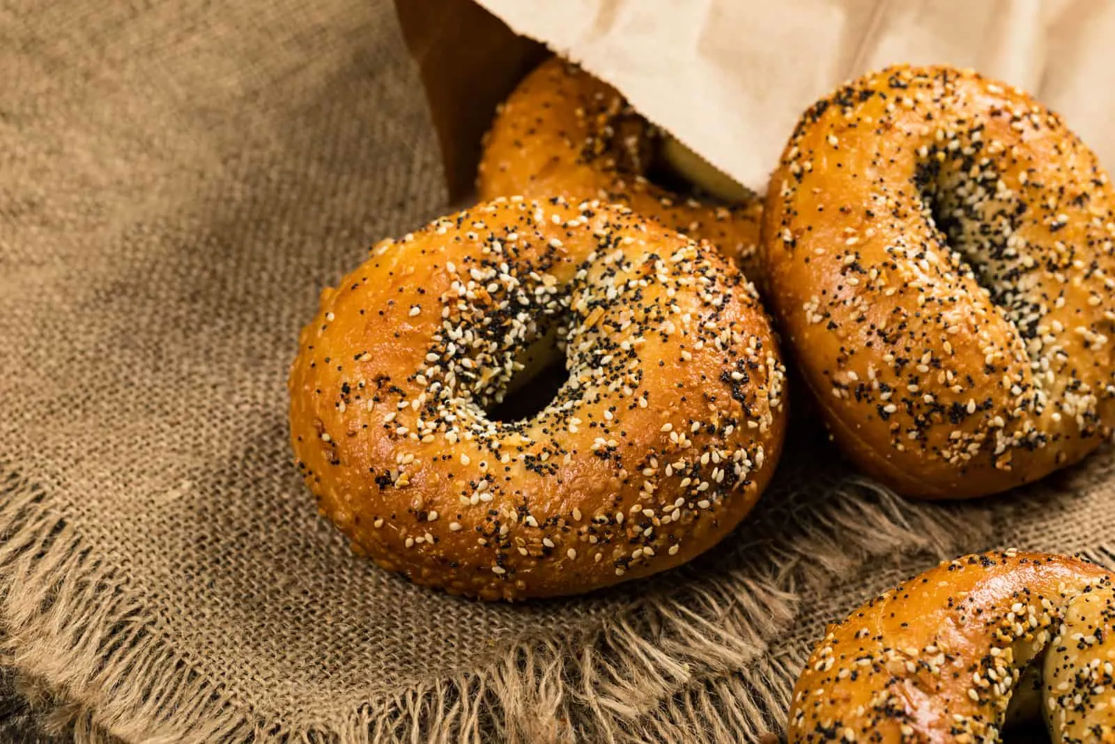 Are Everything Bagels Bad For Dogs