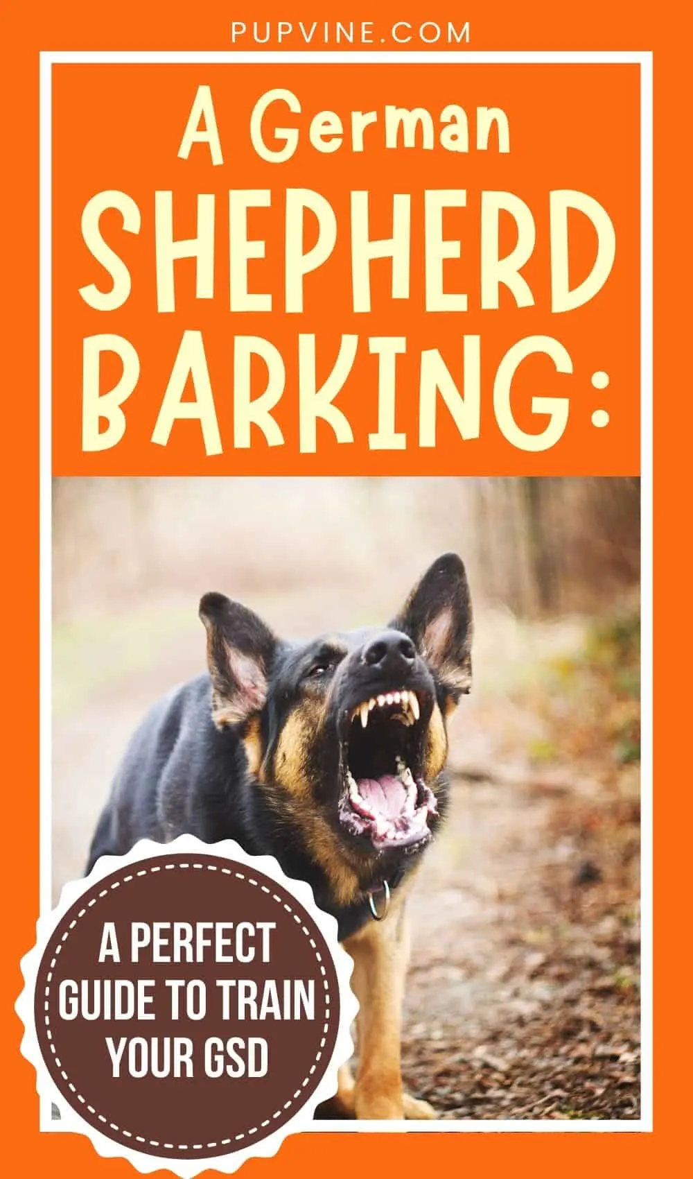 how do i stop my german shepherd barking at night