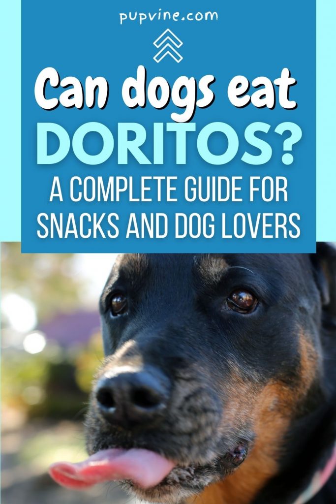 Can Dogs Eat Doritos? The Effects Of Human Food On Dogs