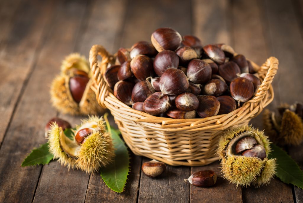 Can Dogs Eat Chestnuts? Health Advice For Worried Dog Owners