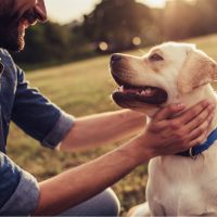 handsome young man with labrador outdoors