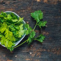 fresh green cilantro on wooden background