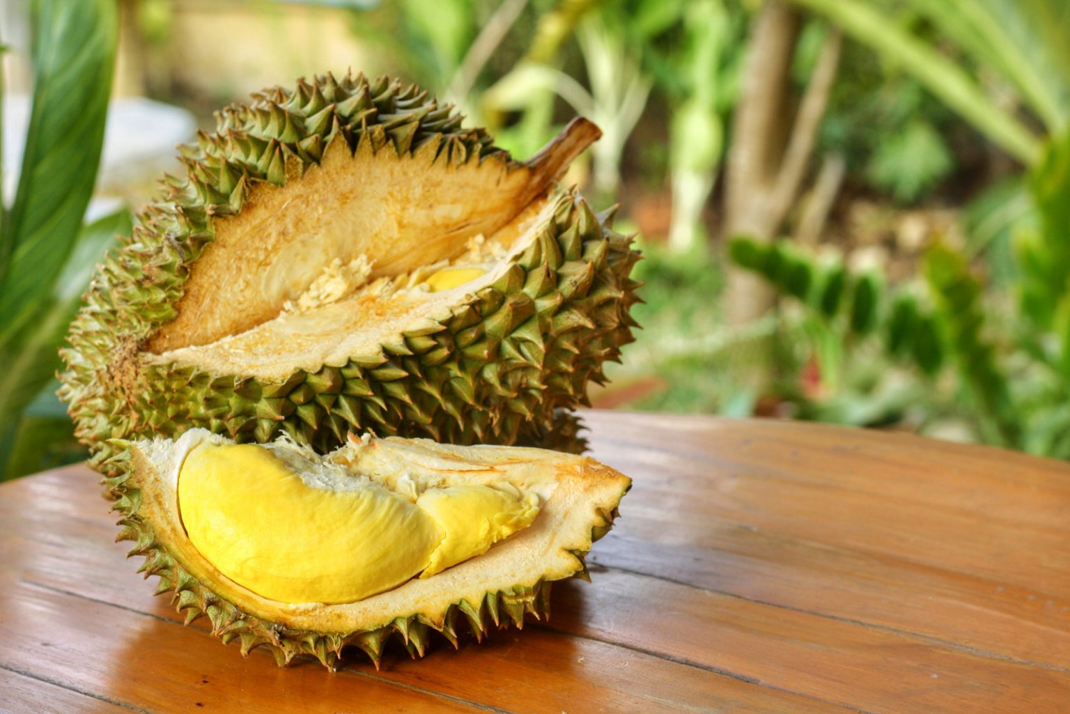 Can Dogs Eat Durian? Is The Hype Worth It?