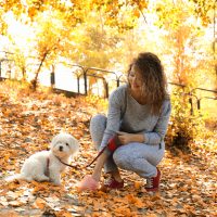 a woman cleans the poop of her dog in the park