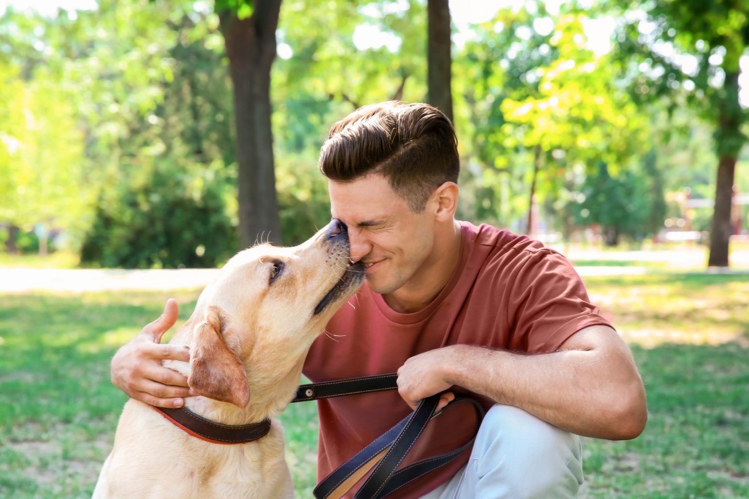 Why Does My Dog Lick Me? 9 Reasons For This Behavior