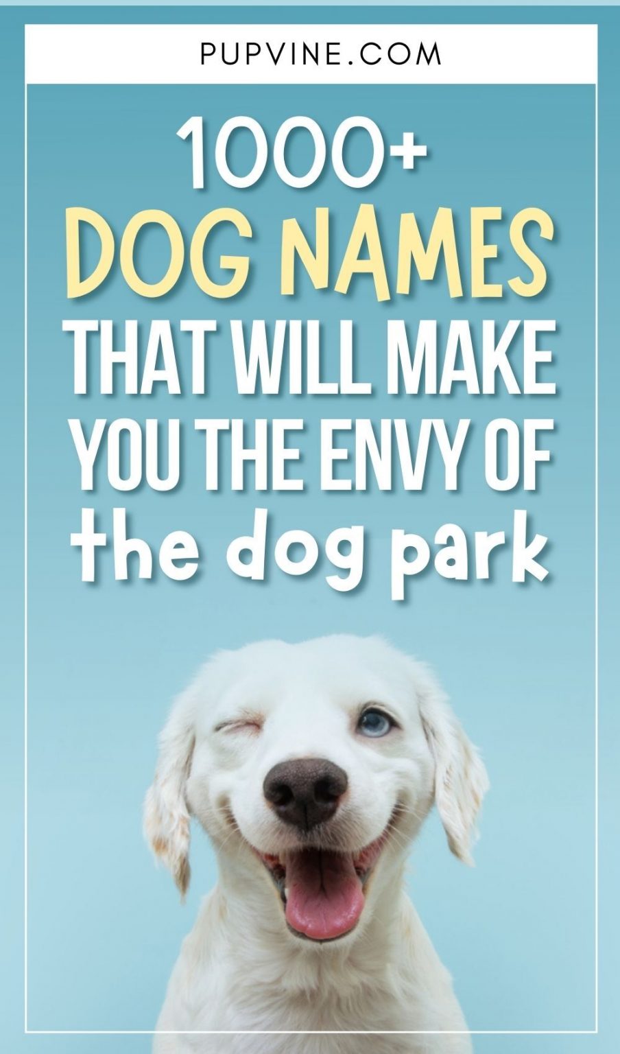 1000+ Dog Names That Will Make You The Envy Of The Dog Park