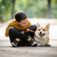 the boy and Corgi rest on the road after the walk