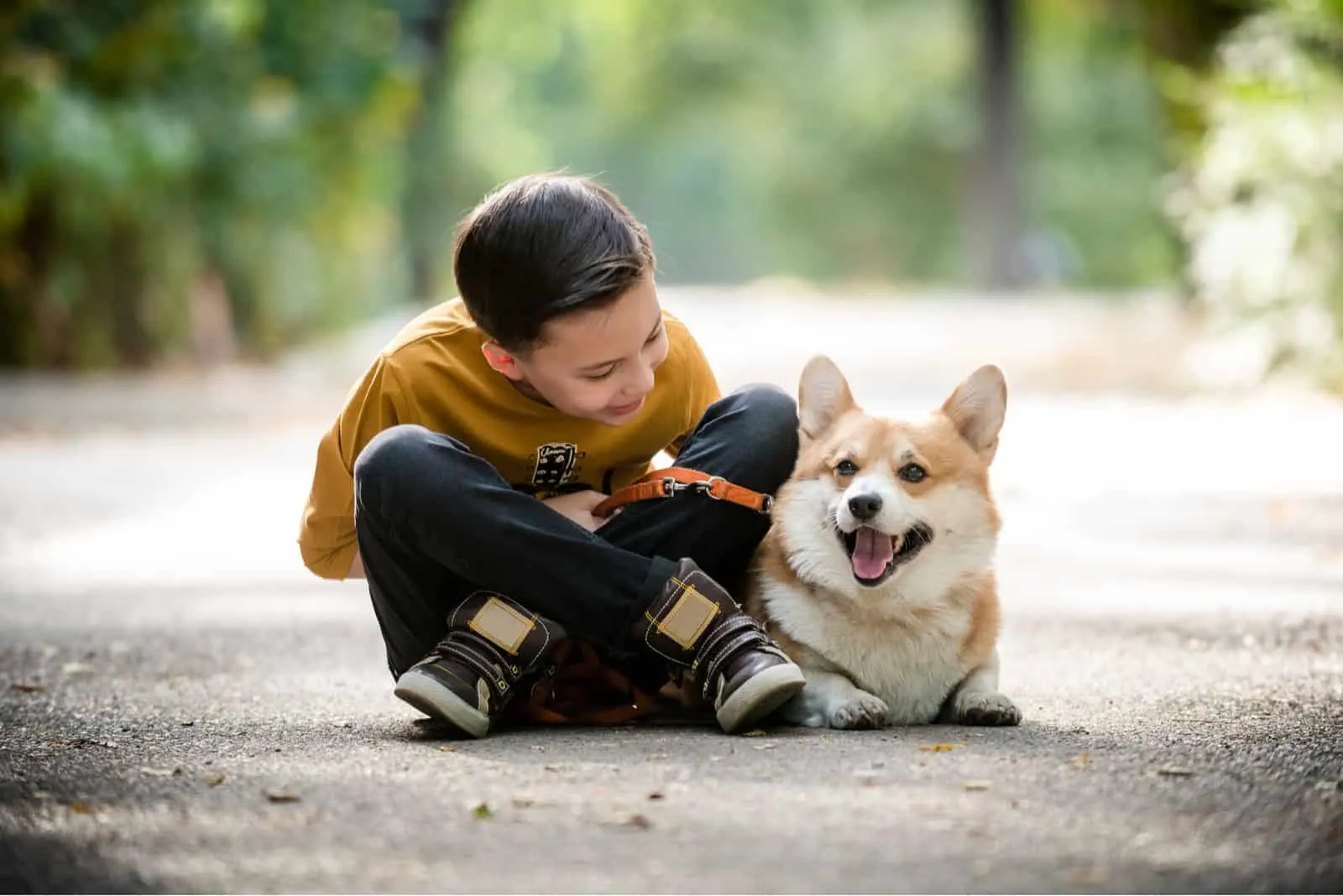 Corgi Puppies: Is a Corgi Puppy a Good Family Dog? – Wild One