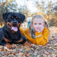 cute blonde girl and her Rottweiler dog lying on leaves