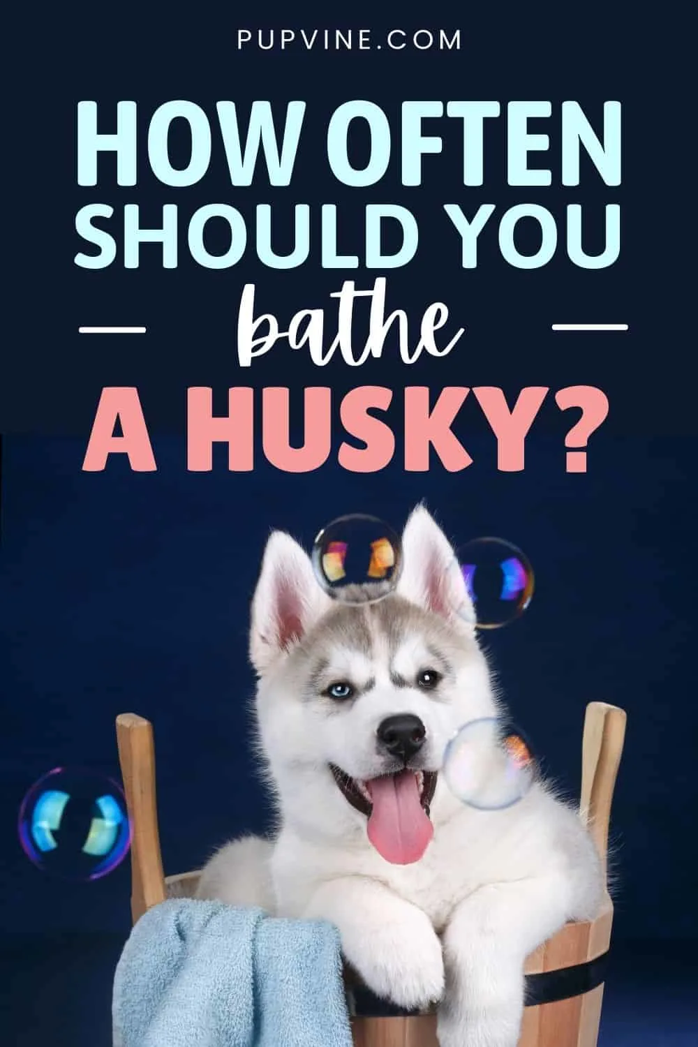 how often bathe husky