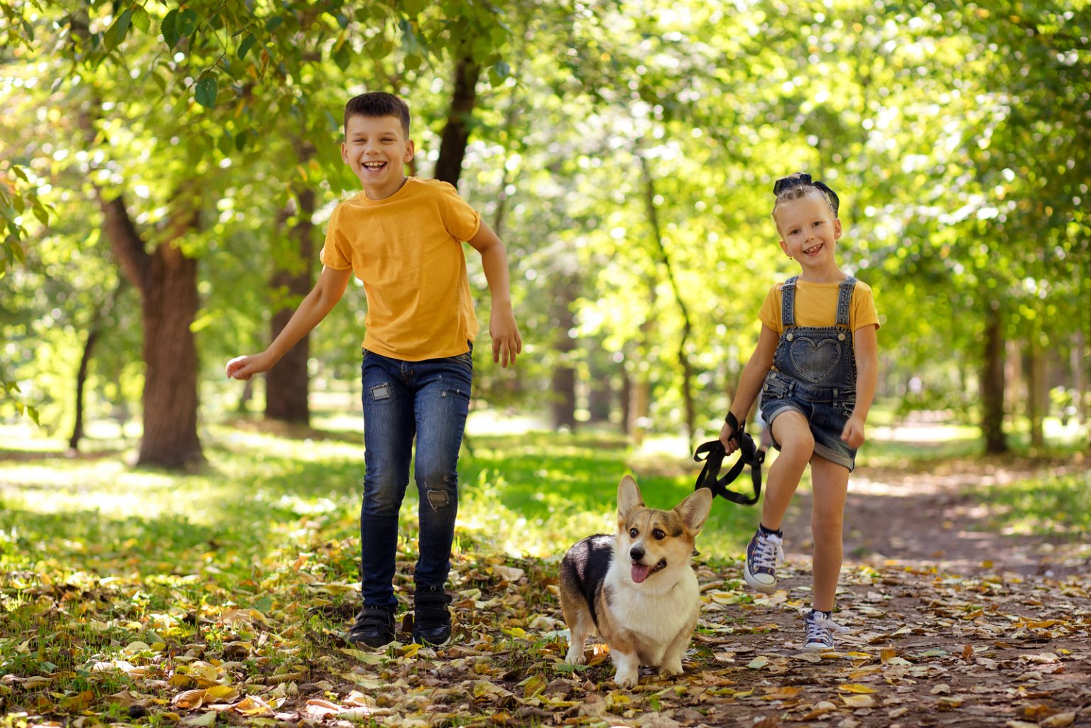 Are Corgis Good With Kids? Advice To Parents With Corgis