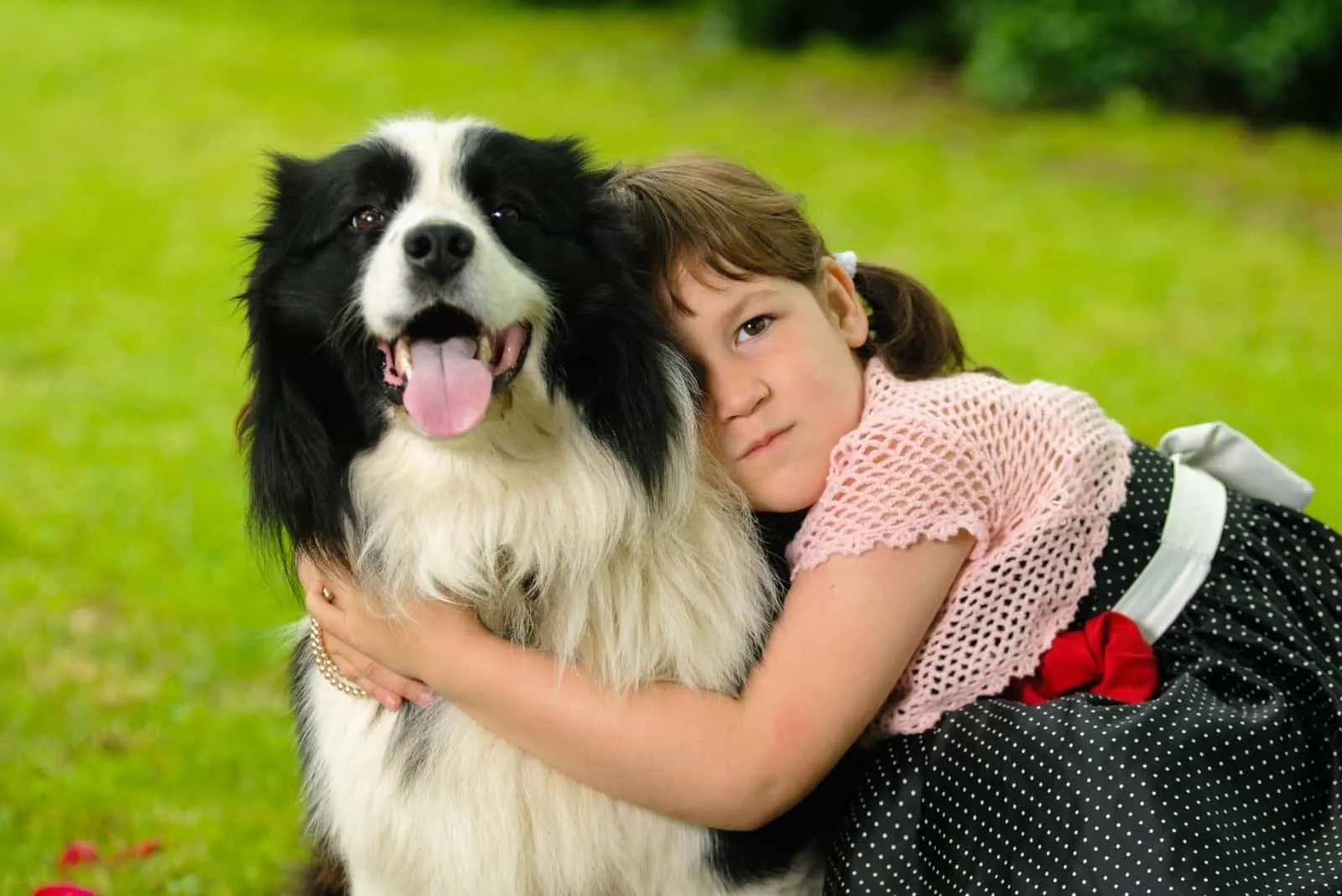 how are collies with children