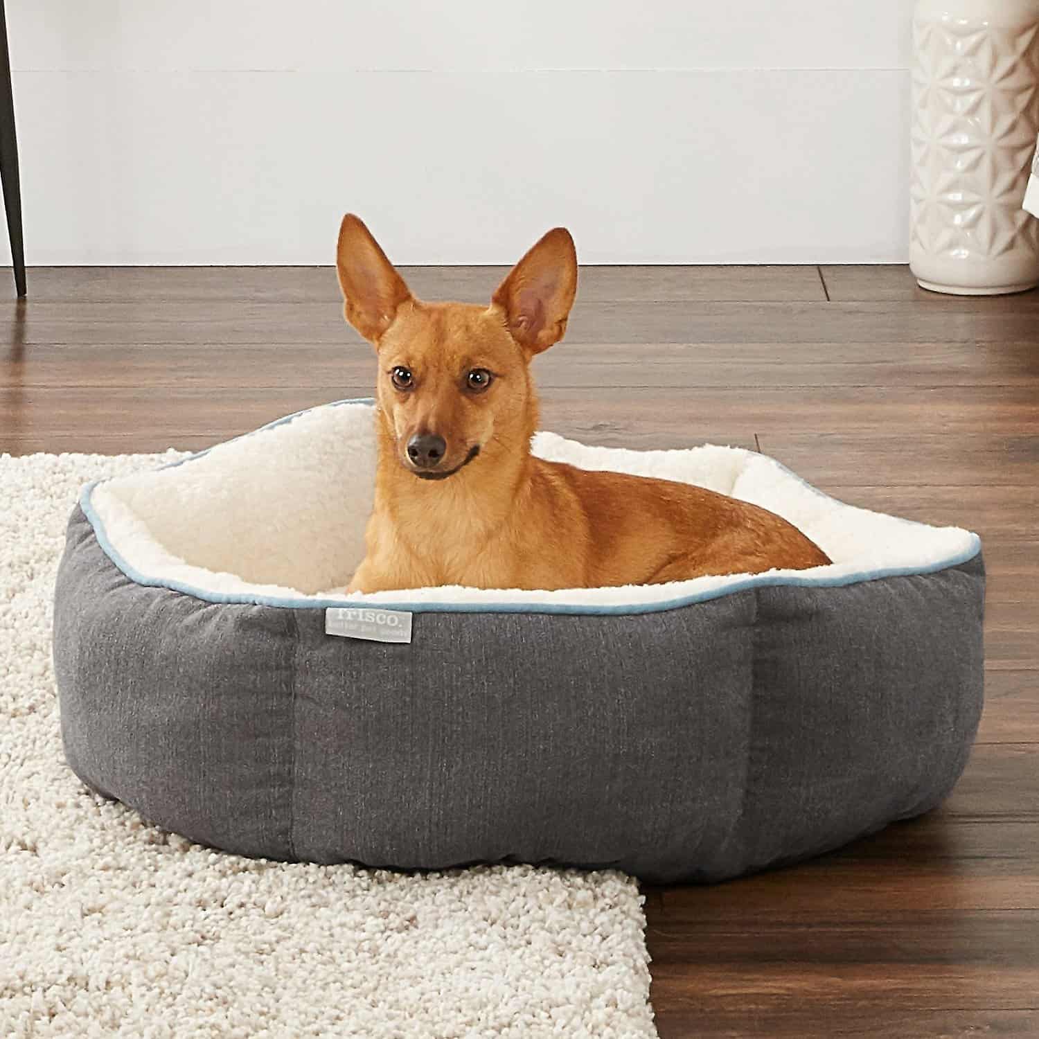 14 Best Dog Beds for Dachshunds: Top Products for Your Small Dog