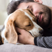 dog and man sleeping