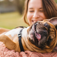 happy dog in owner arms