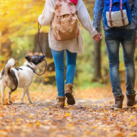 couple walking their dog