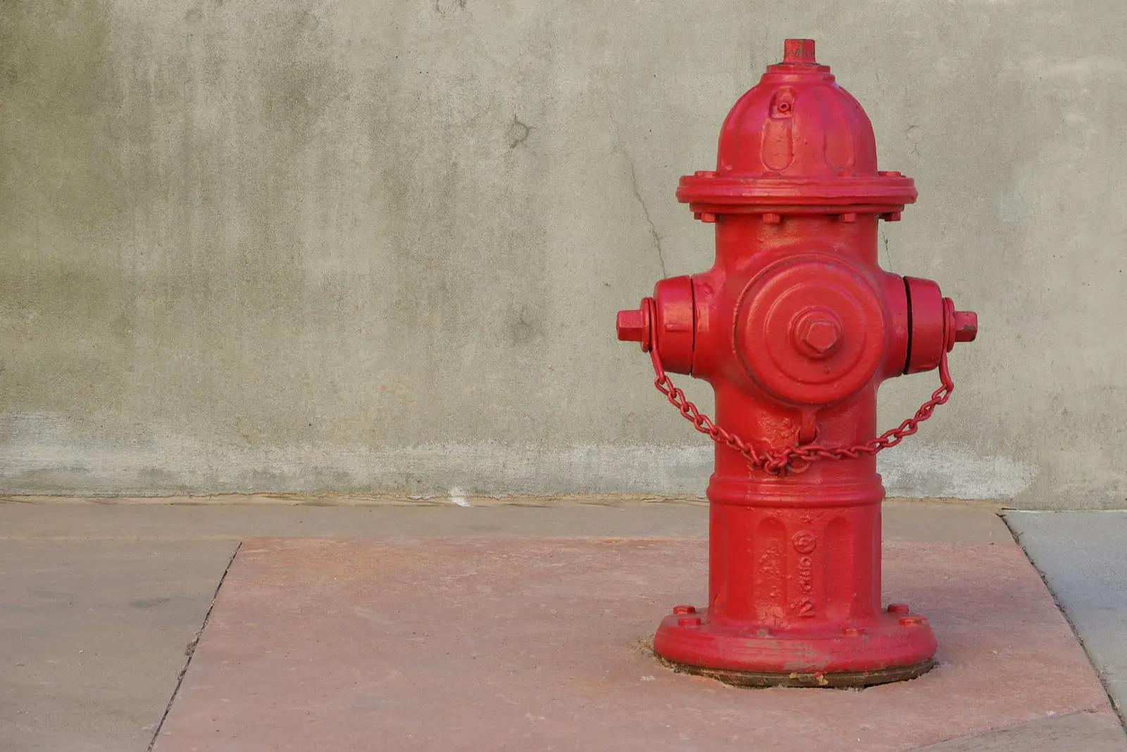 Fire Hydrant For Dogs: Our 8 Favorite Picks!