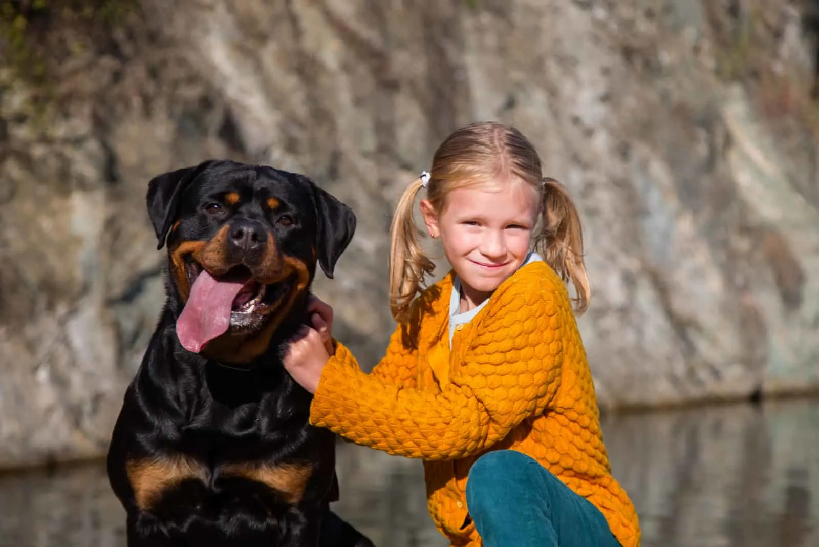 what is a rottweiler bite force for kids