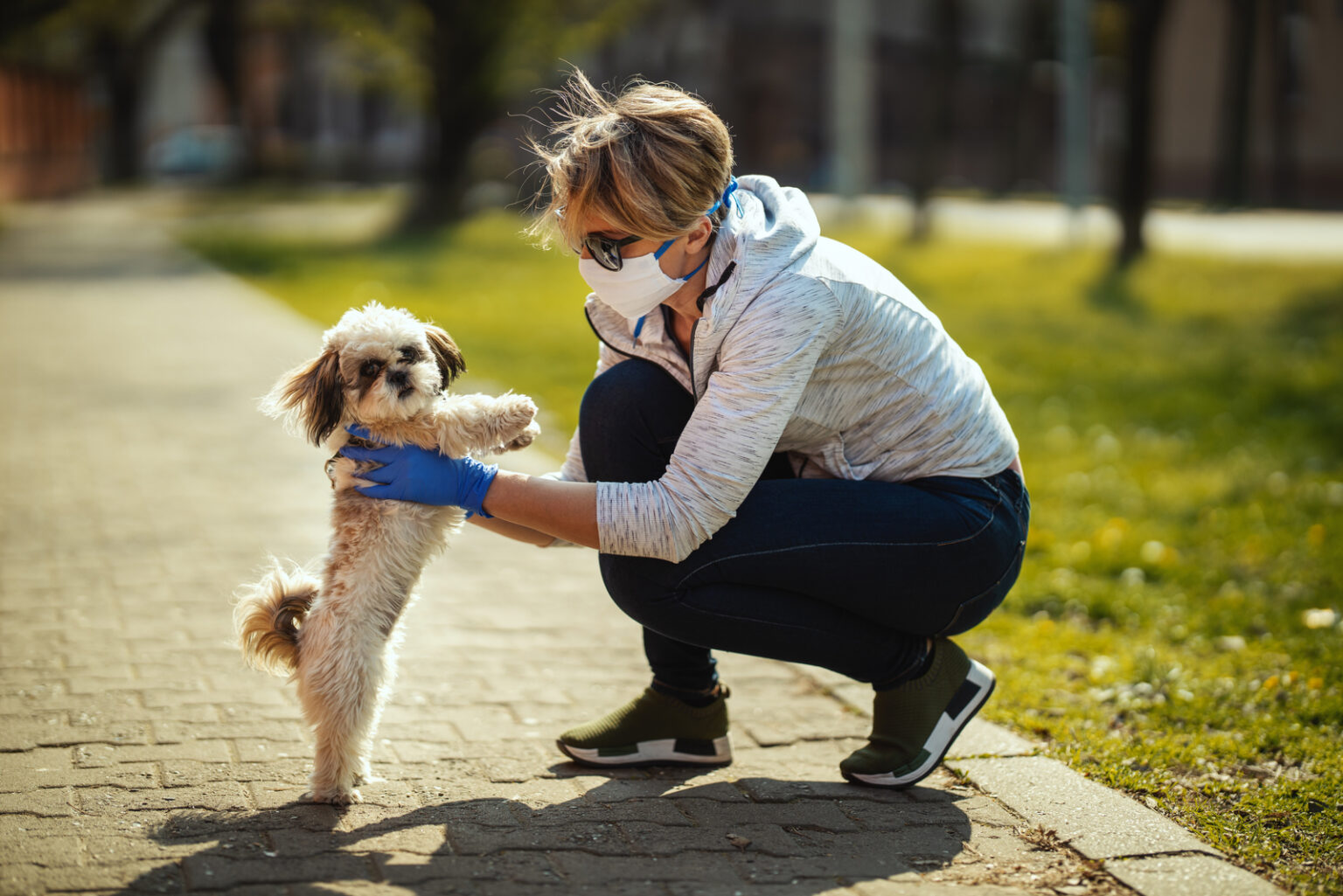 how-to-make-a-dog-throw-up-a-helping-hand