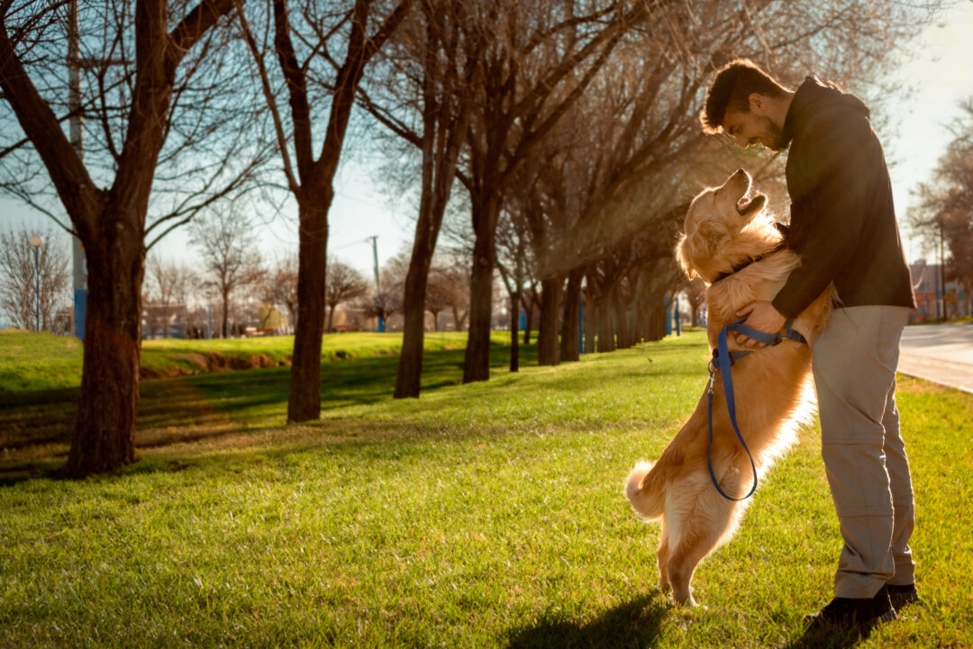 can-dogs-get-sexually-attracted-to-humans-detailed-answer