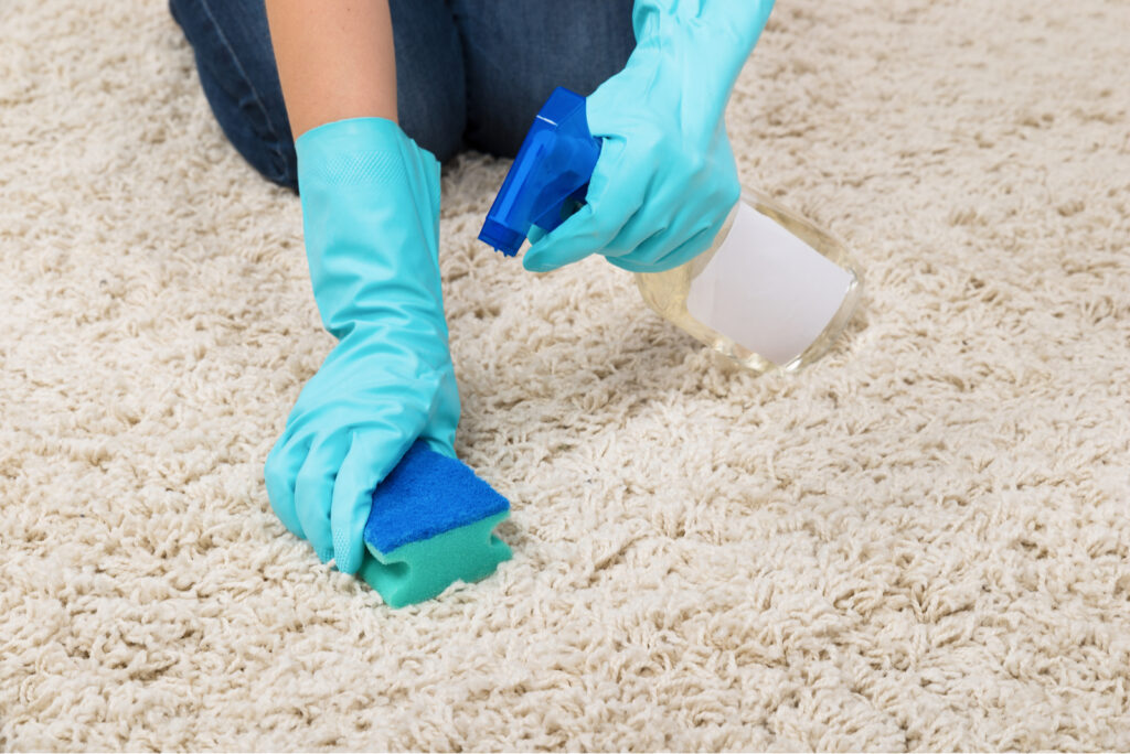 How To Clean Diarrhea Out Of Carpet? No Mess In A Few Steps