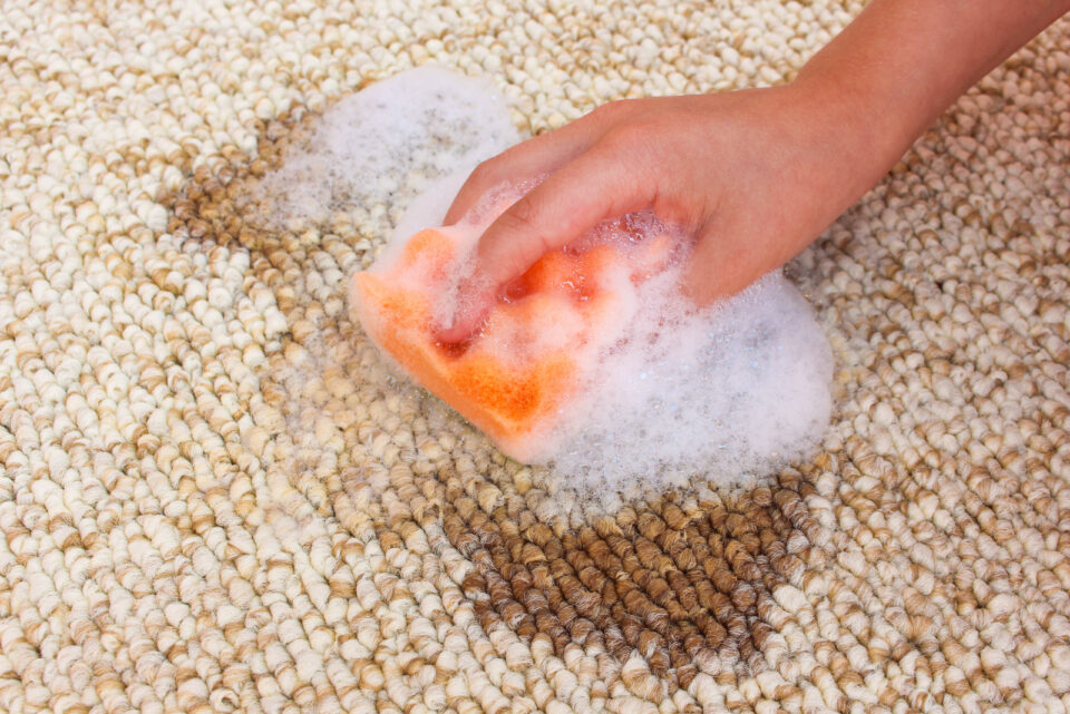 How To Clean Diarrhea Out Of Carpet? No Mess In A Few Steps