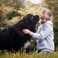 woman petting her newfoundland