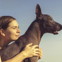 girl sitting and hugging her dog xoloitzcuintl