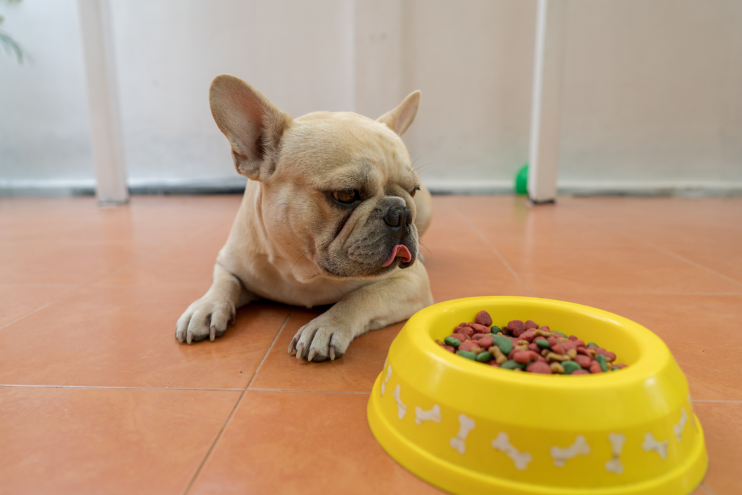 French Bulldog Feeding Chart How To Keep Your Frenchie Fit