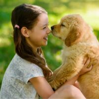 girl holding a golden retriever puppy