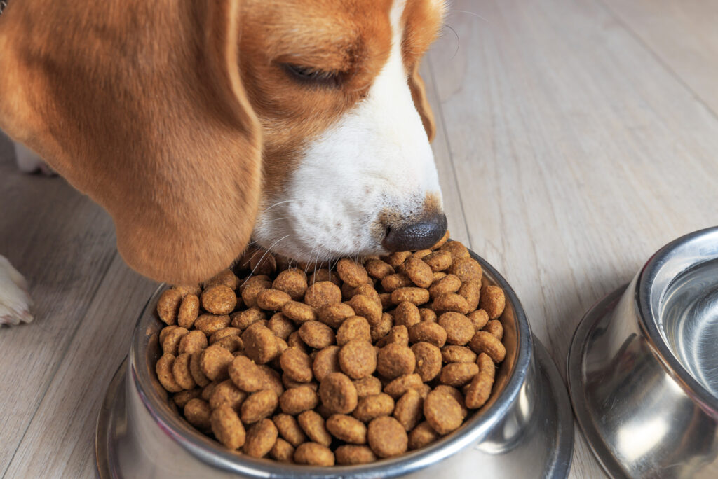 Kindfull Dog Food Review: A Guide To An Affordable Pet Food