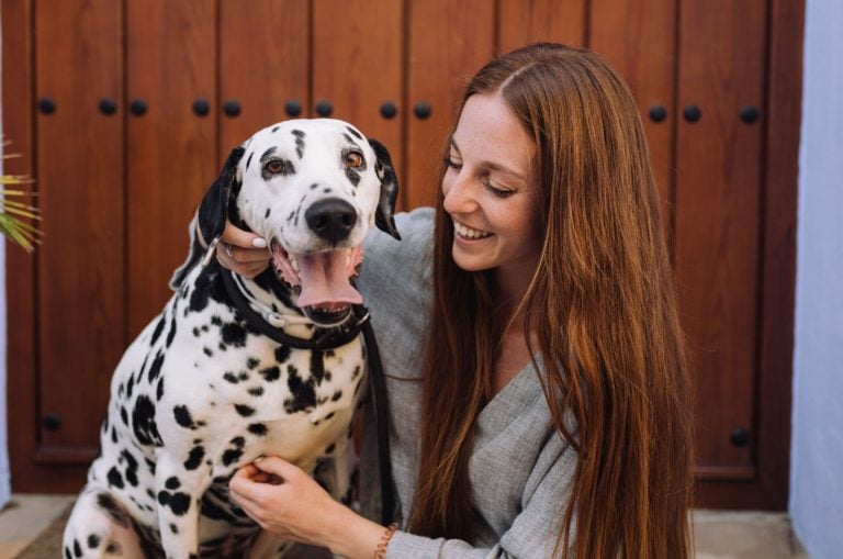 dalmatian-feeding-chart-for-all-dog-enthusiasts