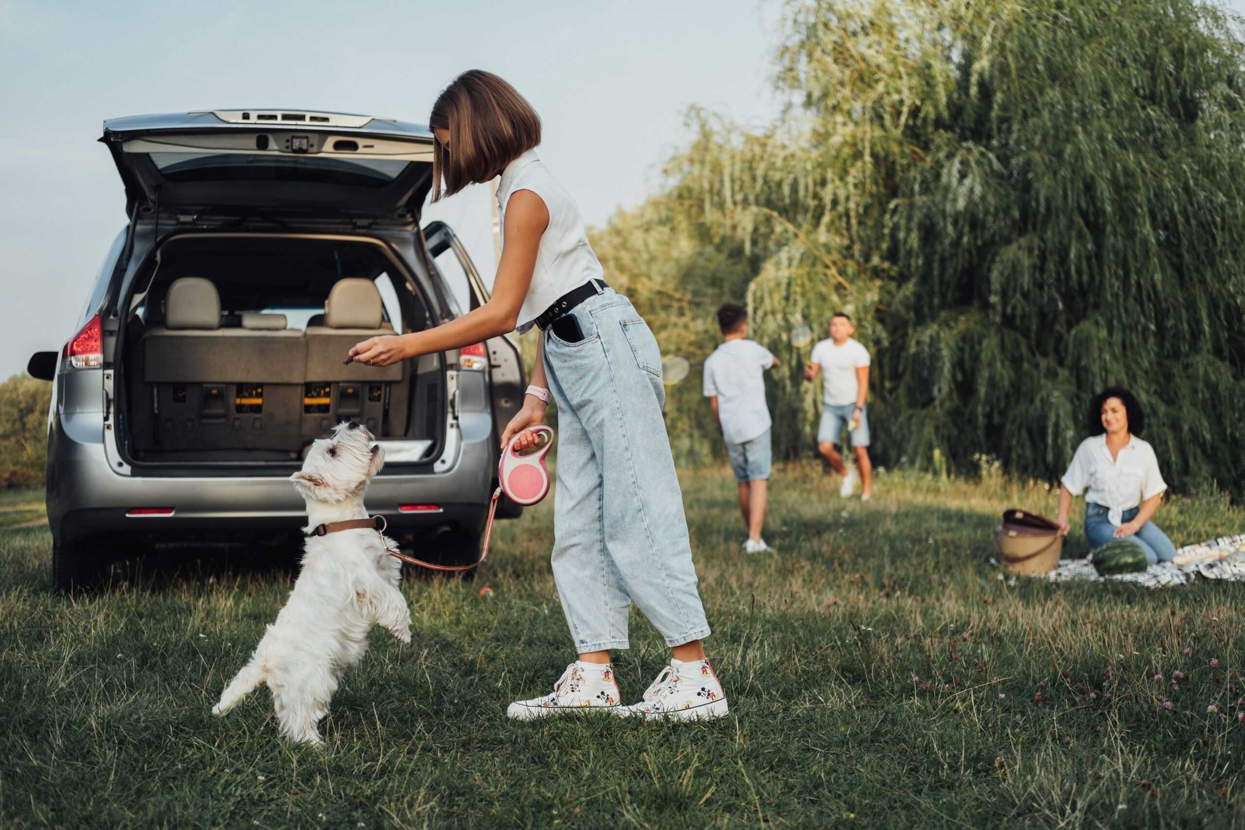 west highland white terrier with owner