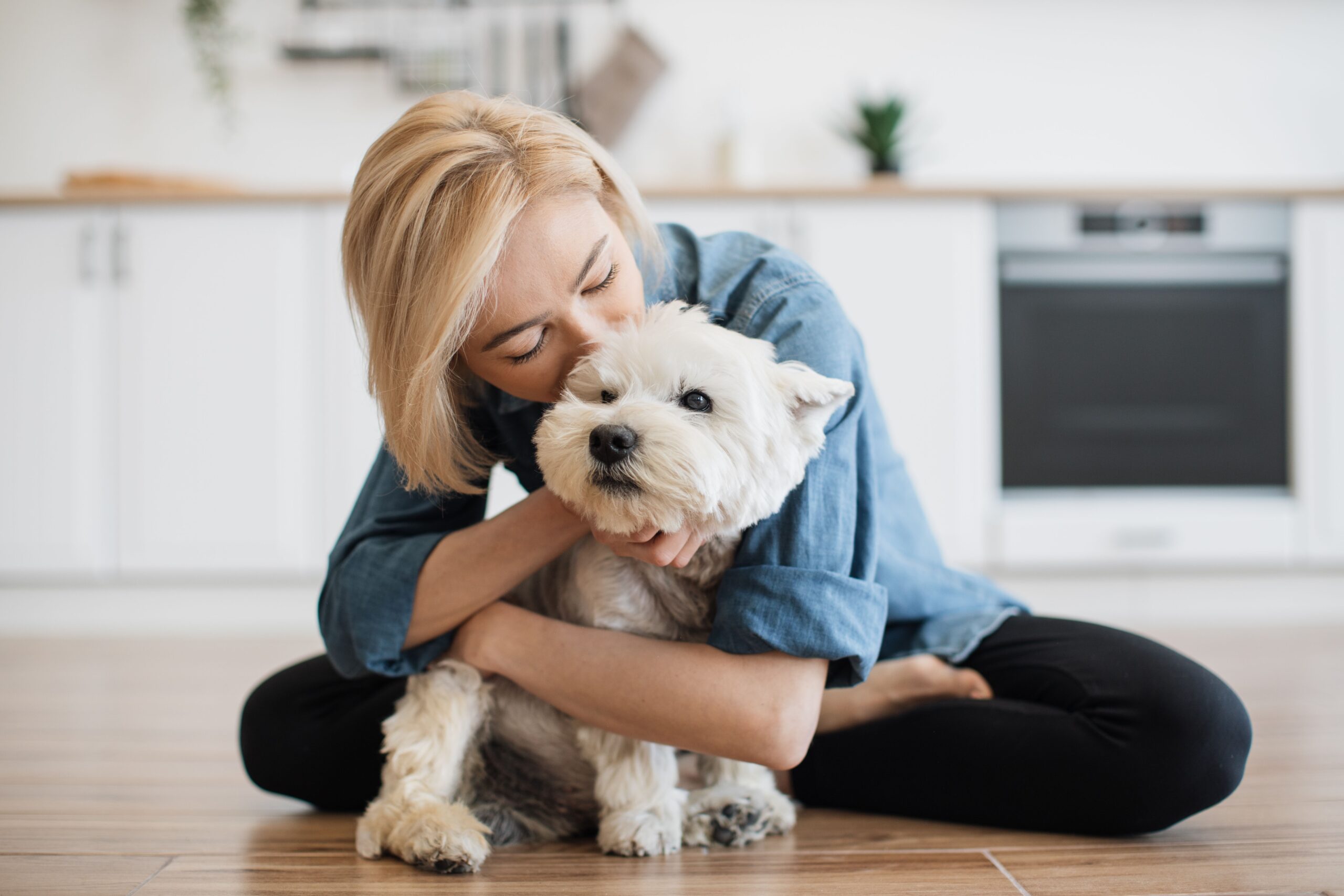 west highland white terrier with human