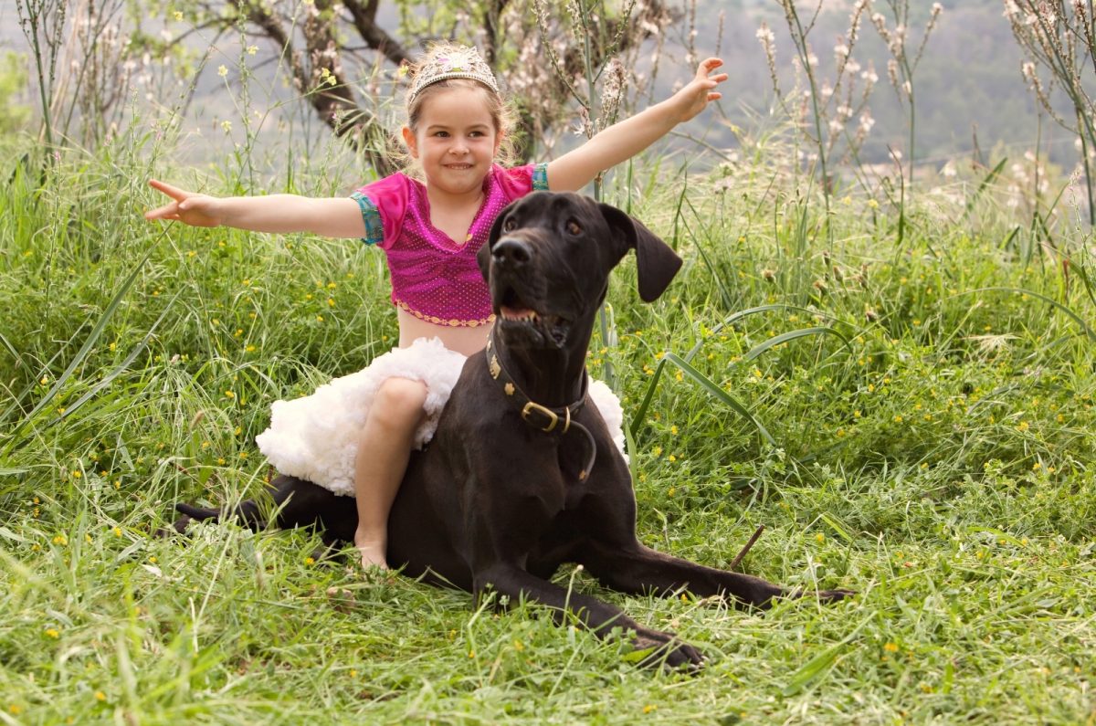 Are Great Danes Good With Kids? A Guide For Families