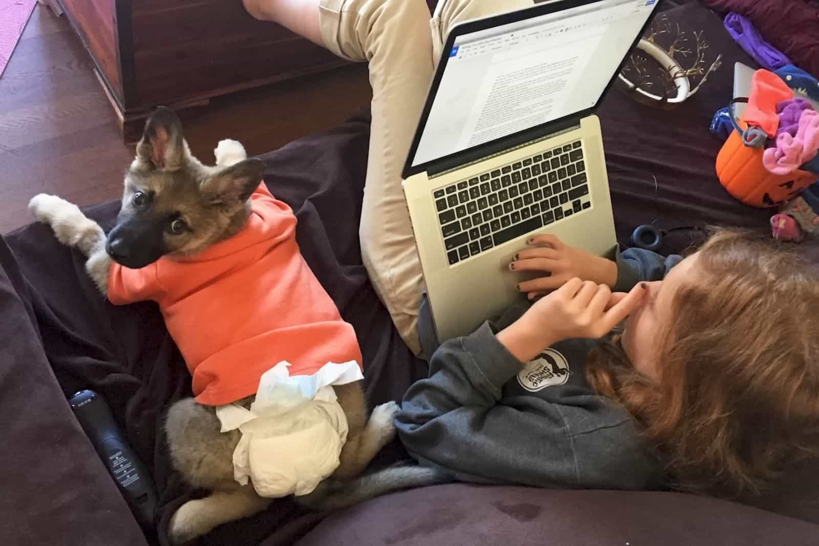 cute puppy sitting with working woman on laptop