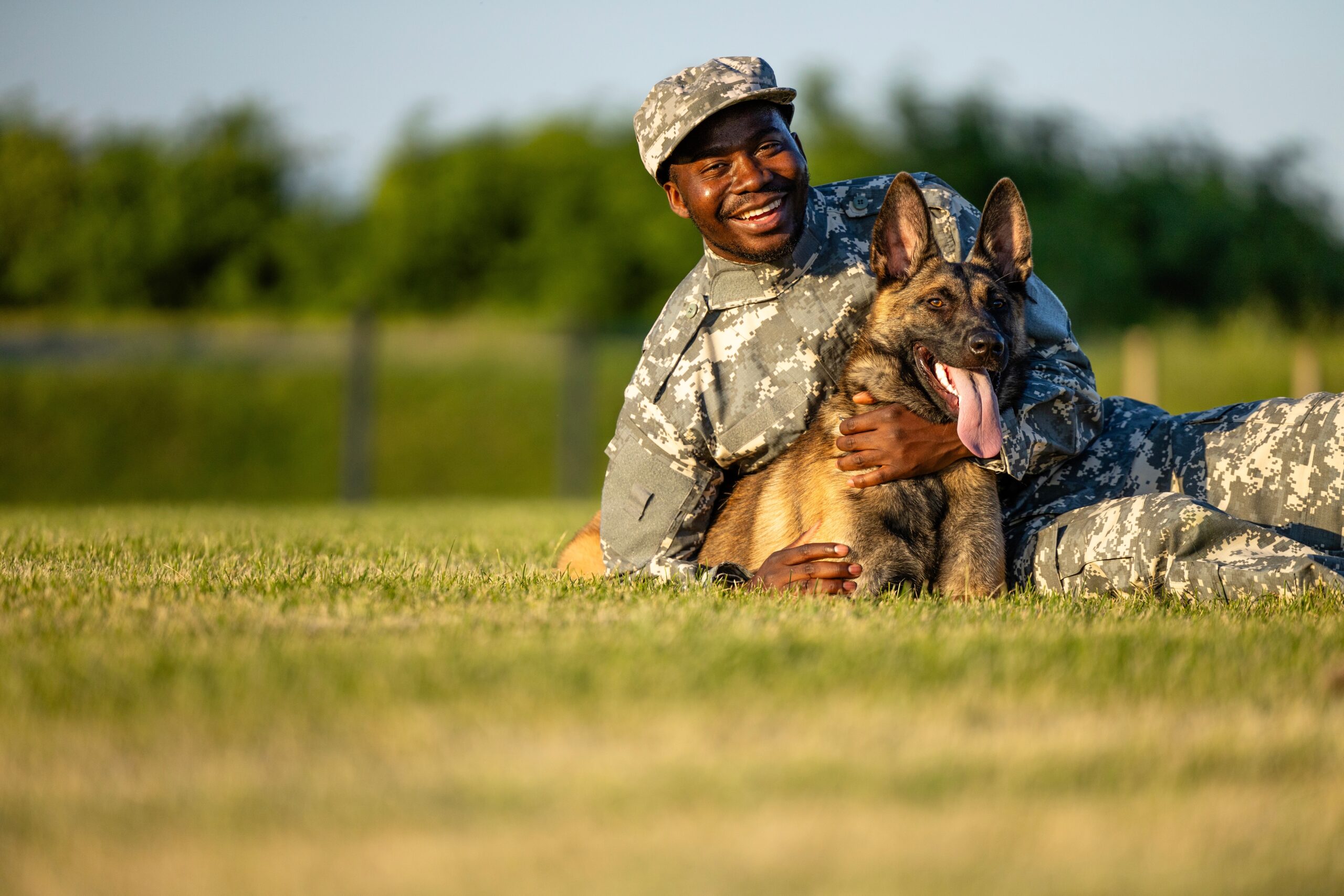 military german shepherd