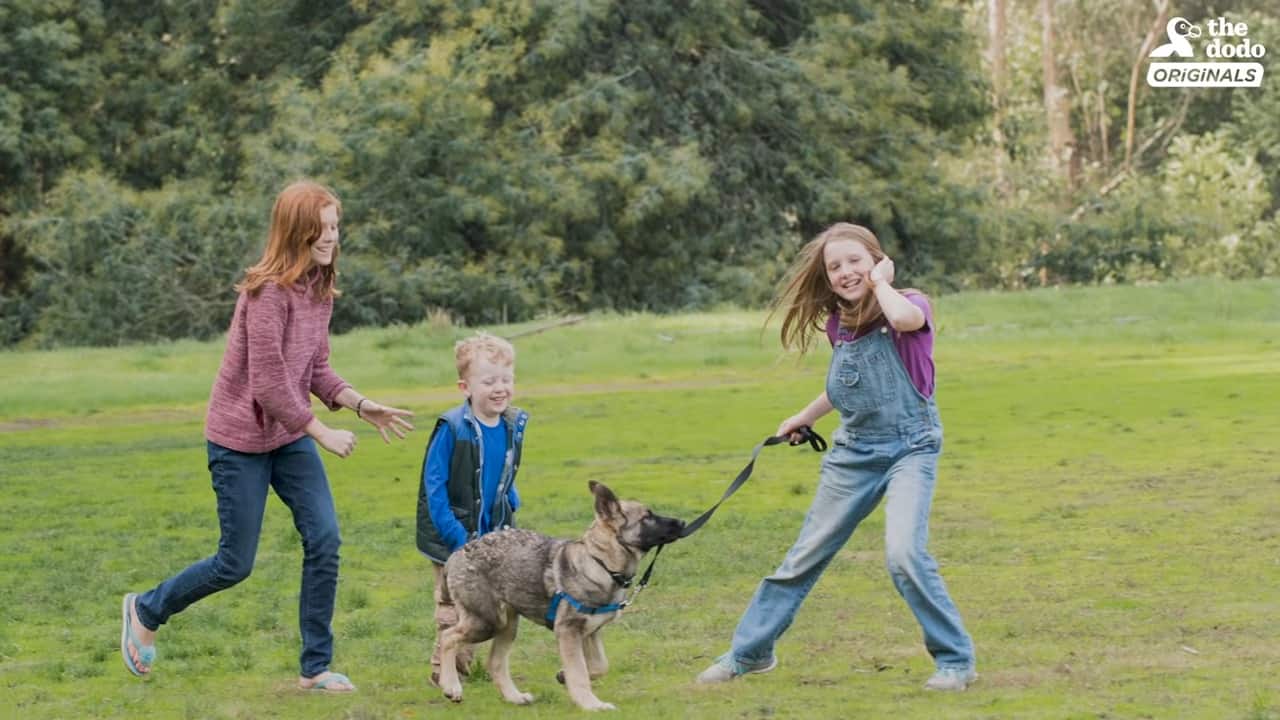 kids playing with dog outdoor