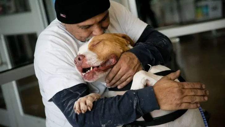 Man Reunites With His Pitbull 4 Months After He Was Forced To Give Him Up