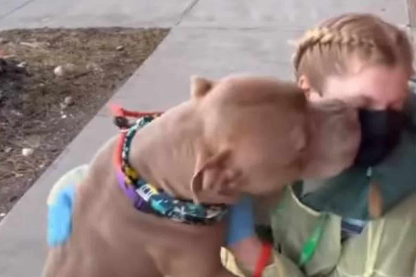 Donny kisses the girl who pet him