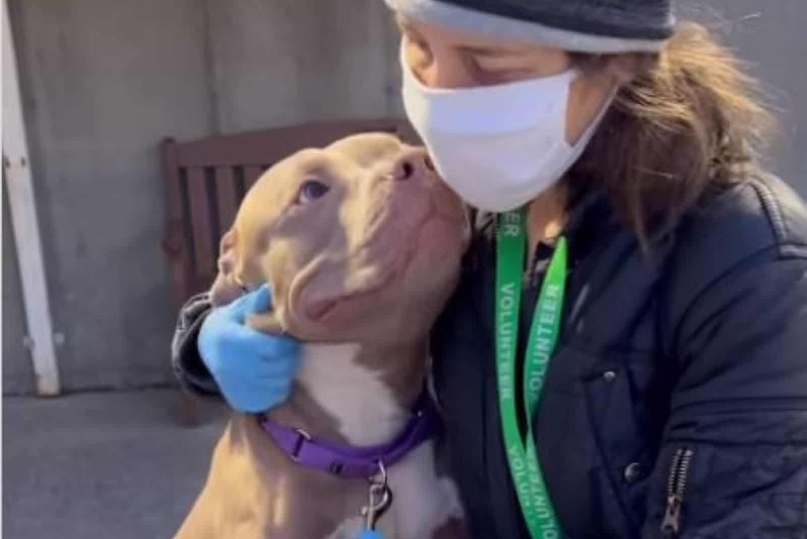 Donny the pittie smiles at a human