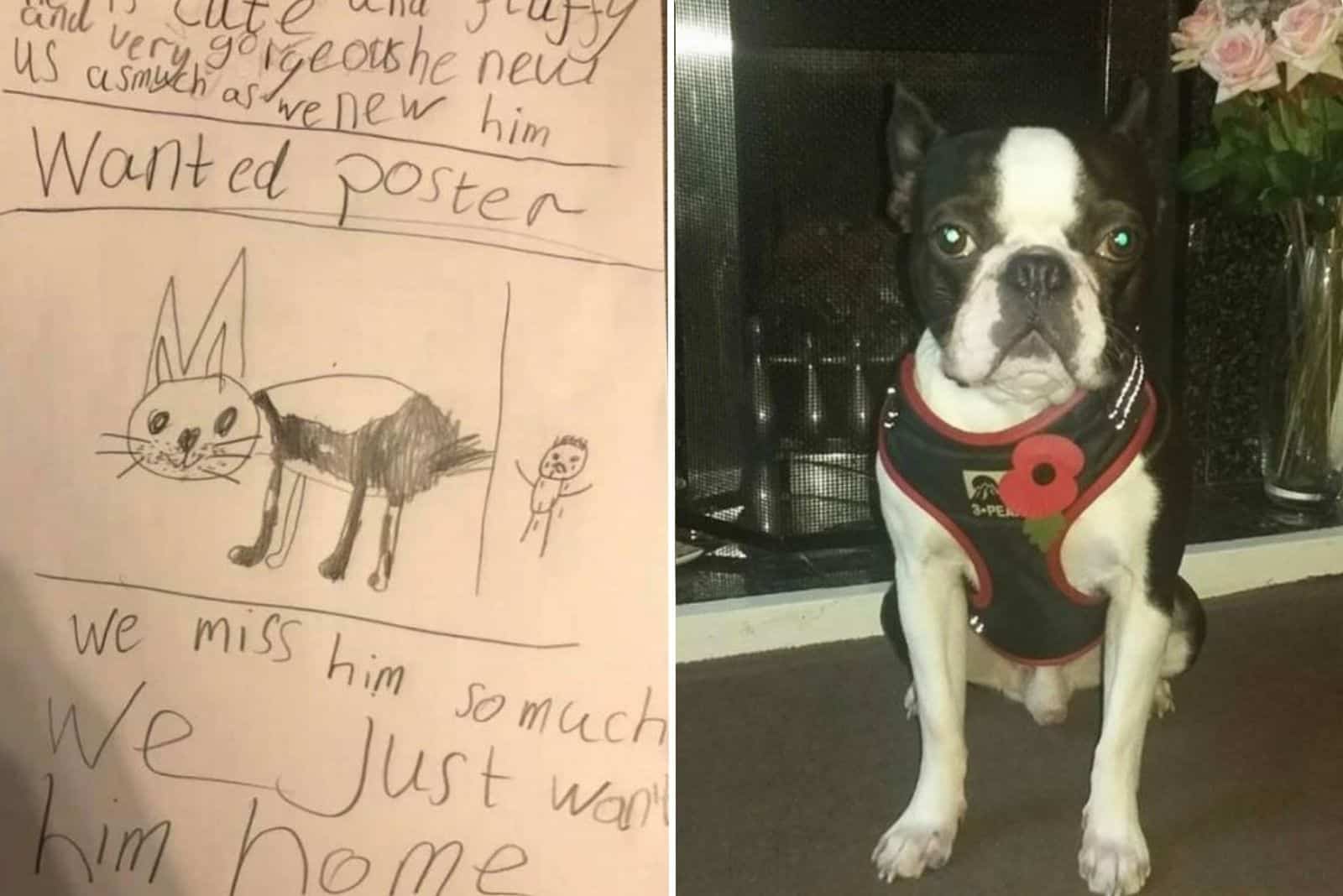 boy draws wanted poster for his stolen dog