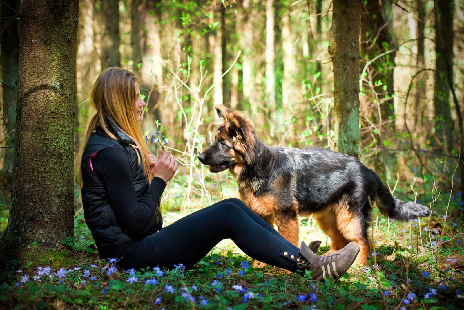 Young girl with german shepherd dog sitting in forest surrounded by blue flowers