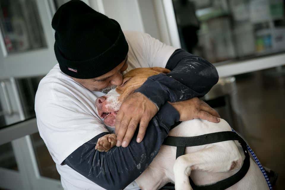 a man emotionally hugs and kisses a pit bull