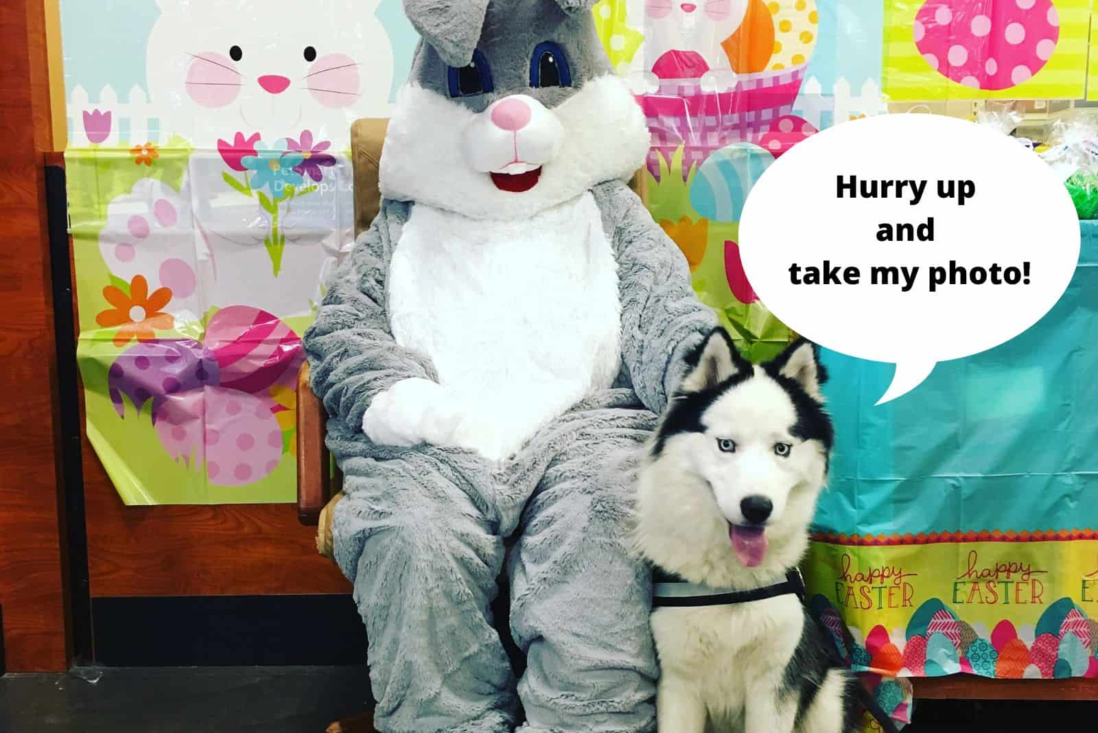 dog with easter bunny posing for photo
