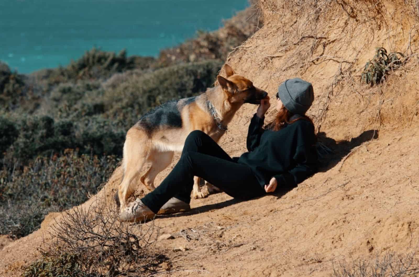 german shepherd dog trying to lick his owner lying on the ground