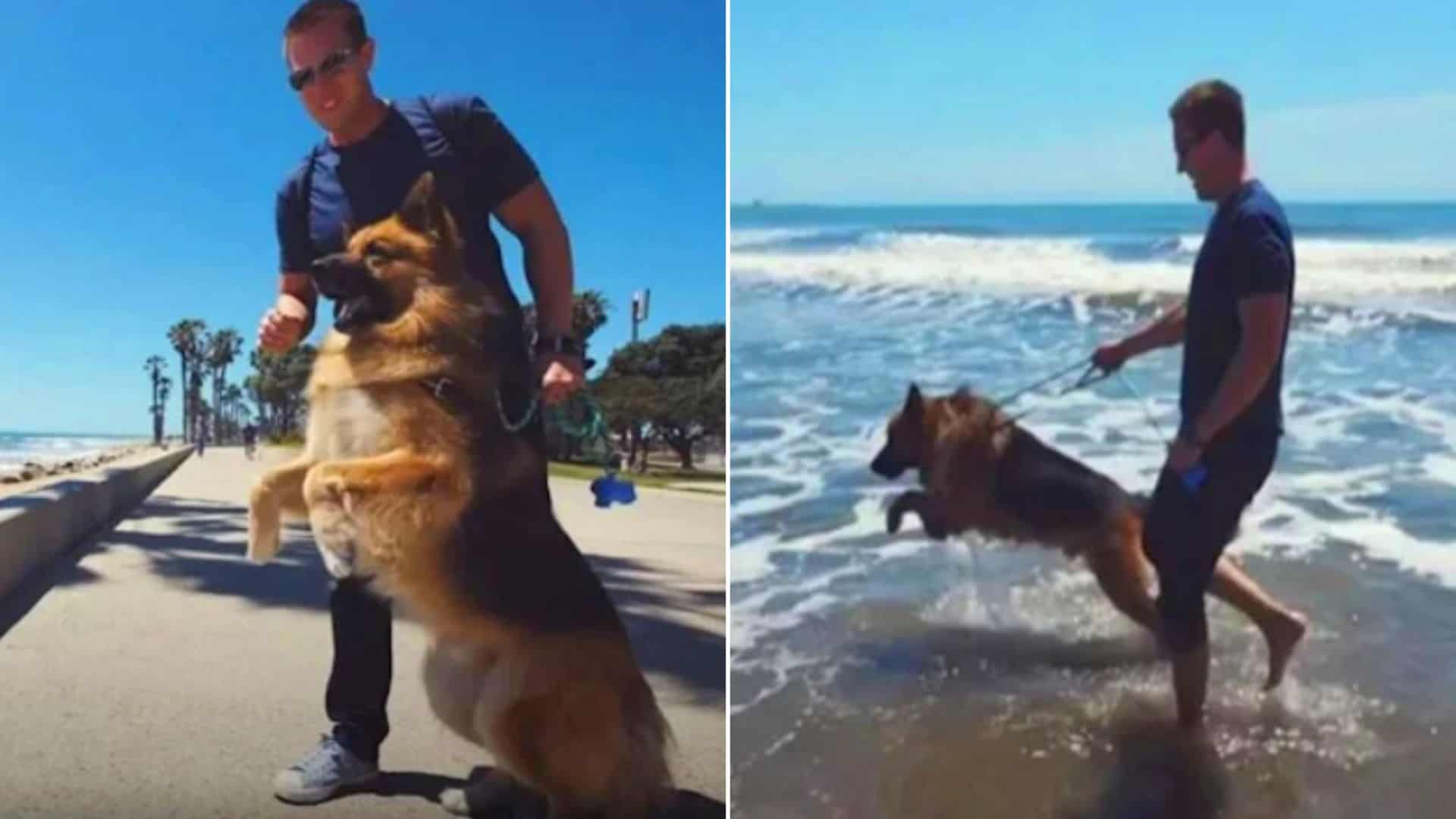 man with german shepherd