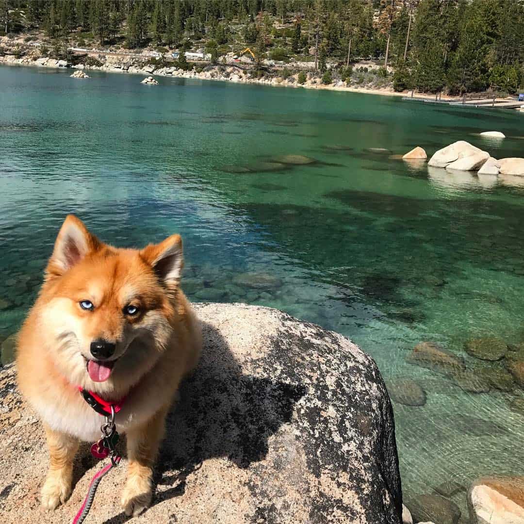 Mya at lake tahoe