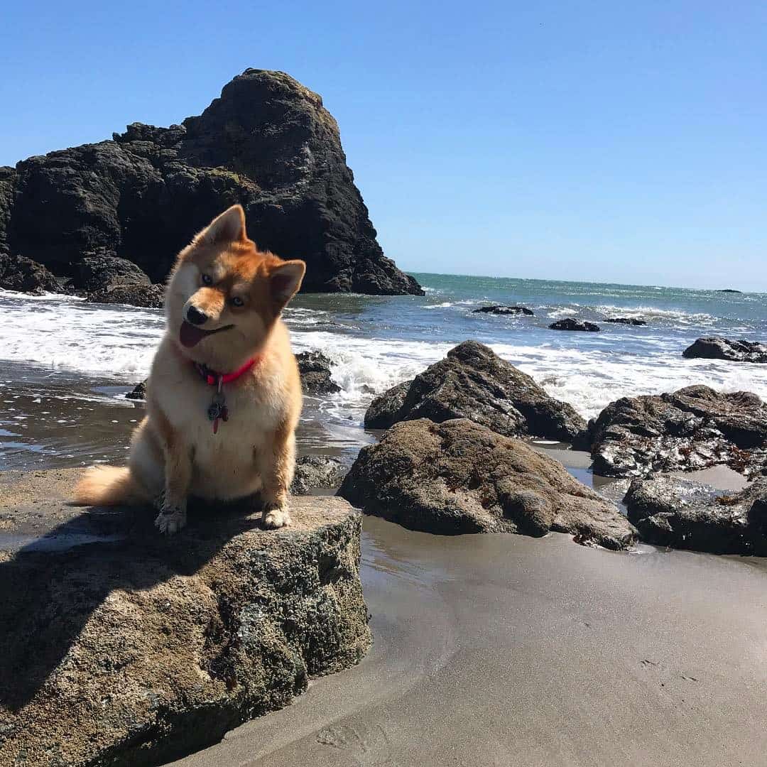 Mya at muir beach