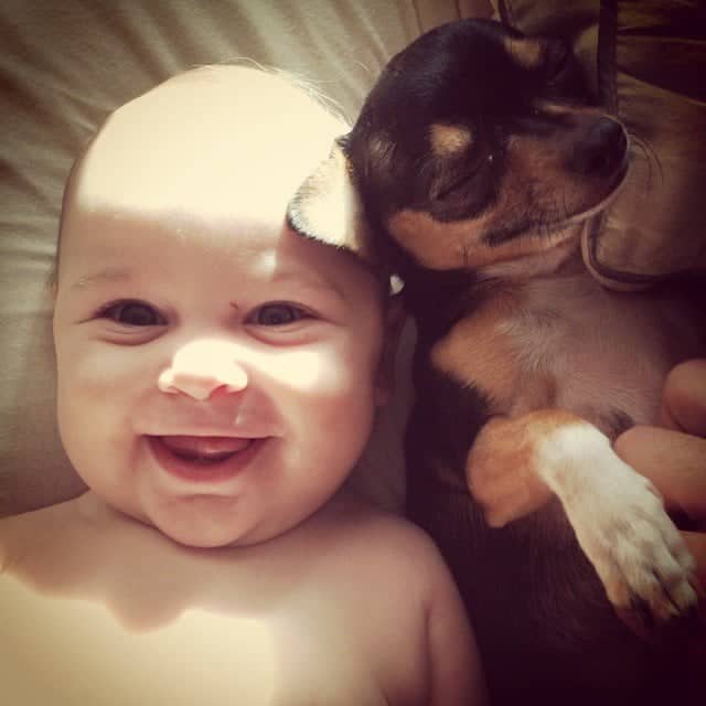 a smiling child lies next to a dog